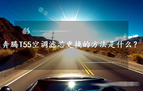 vT55{(dio)VоQķʲô