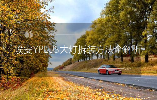 YPLUSbȫ