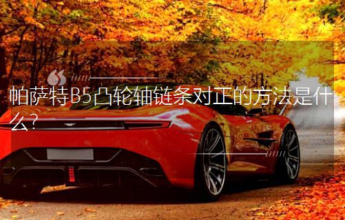 _B5͹݆S朗lķʲô