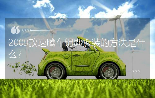 2009v܇耳ײbķʲô