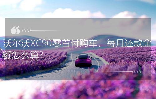 ֠XC90׸ُ܇ÿ߀~ô㣿