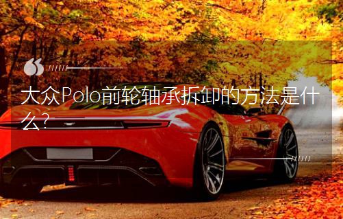 Poloǰ݆Sвжķʲô