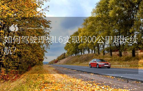 {L6F1300ﳬLm(x)