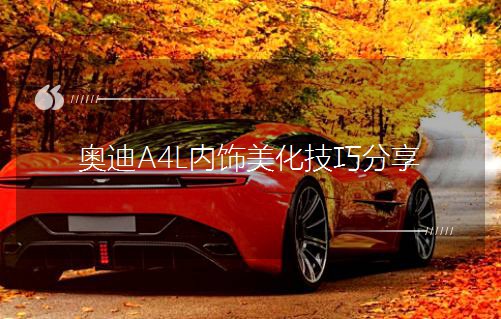 奧迪A4L內(nèi)飾美化技巧分享