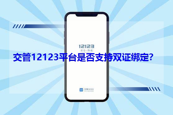 12123ƽ_Ƿ֧pC