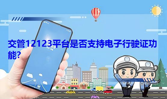 12123ƽ_Ƿ֧C